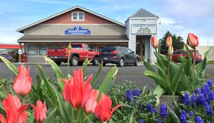 Search Sequim Properties Windermere Real Estate Sequim East