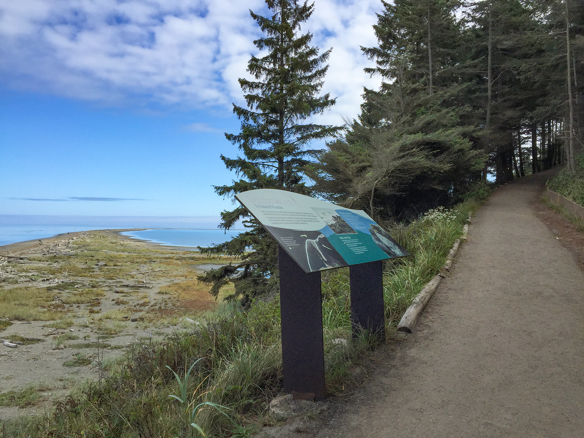 DungenessSpitTrail
