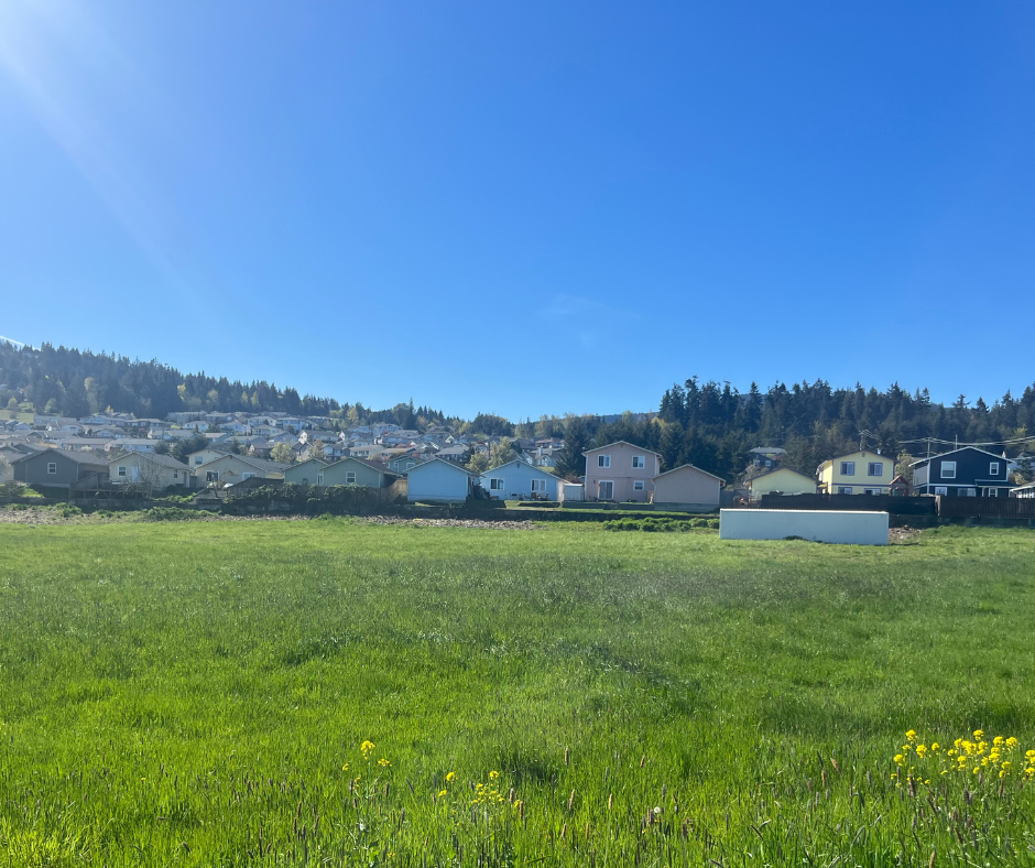 Untitled design (17)